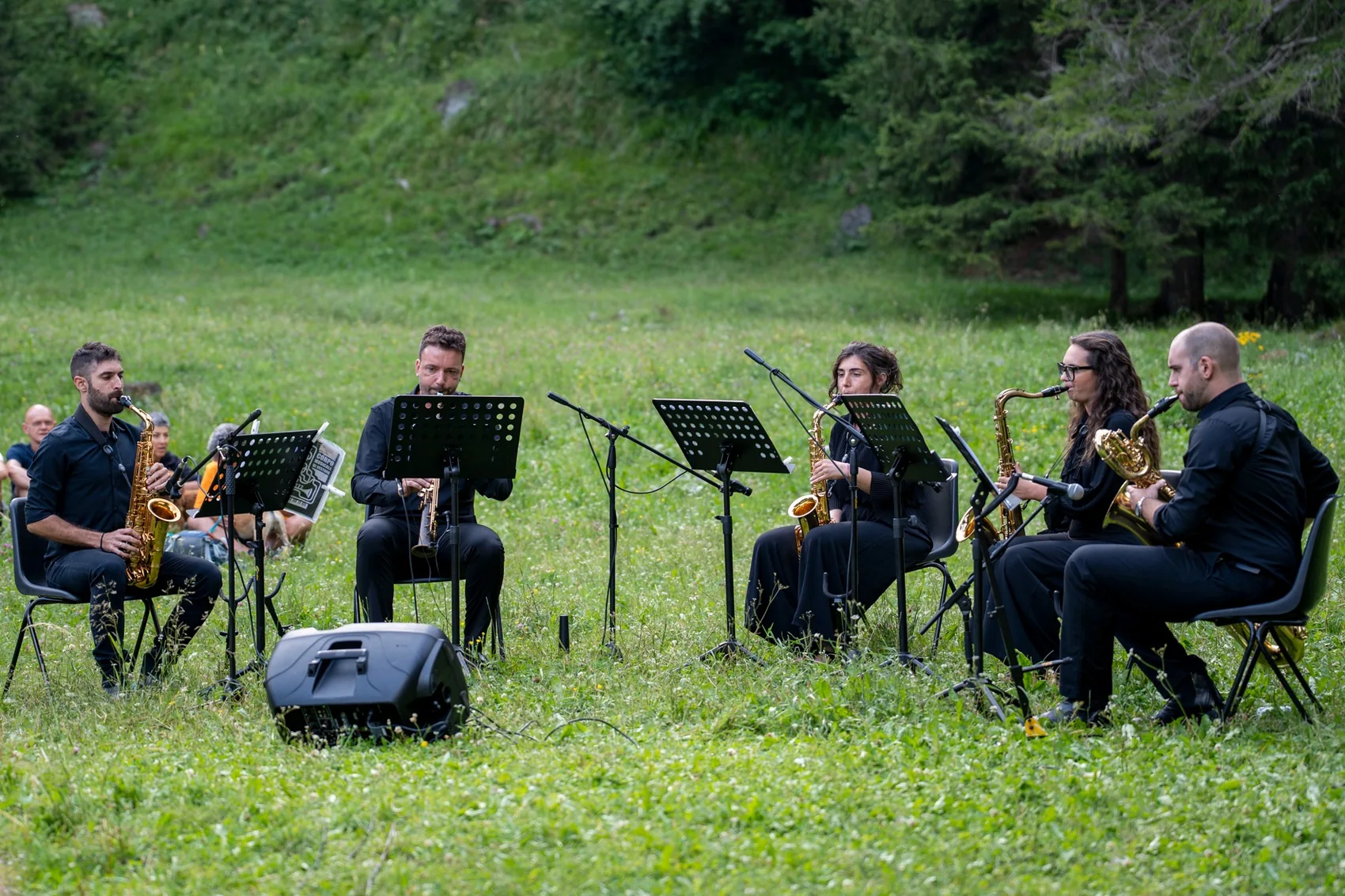 Sand Valley Winds durante il concerto all'aperto al Gaver